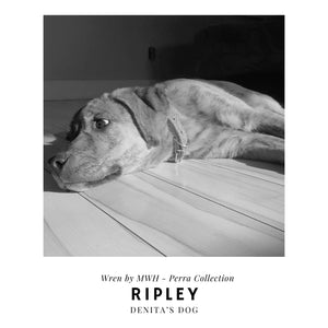 Ripley Paperclip Bracelet Silver