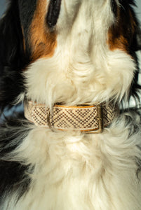 Tucker Embroidered Dog Collar S