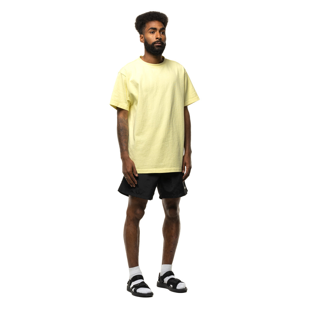Nylon Shorts