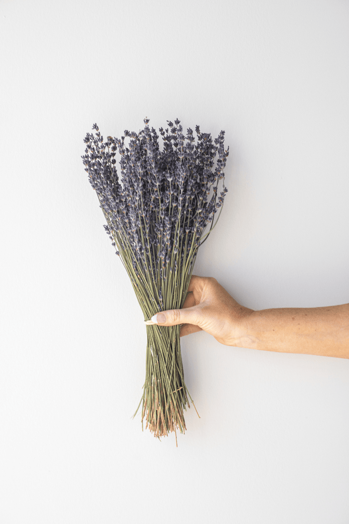Lavender Arrangement