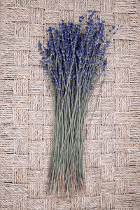 Lavender Arrangement
