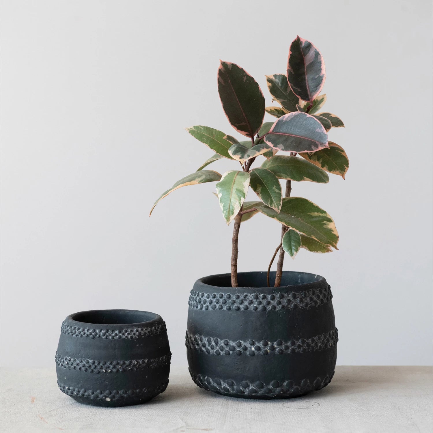 Black Terracotta Dotted Planter